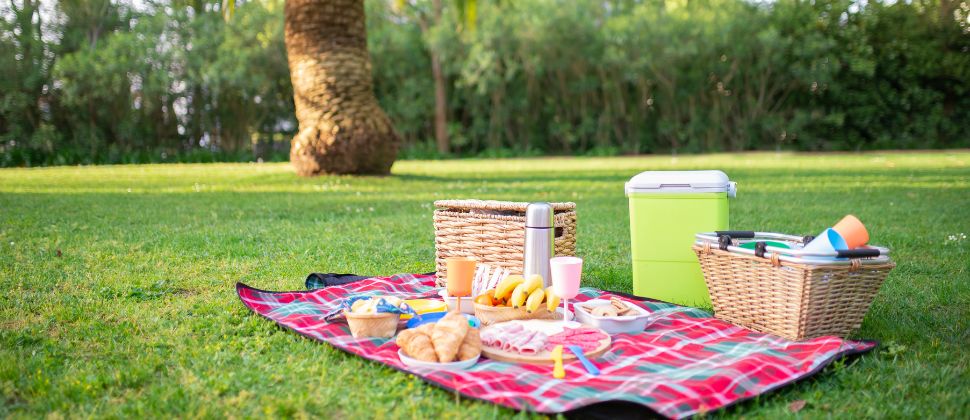 Have A Picnic in The Park