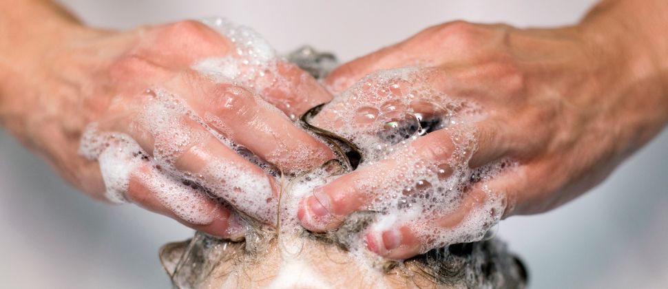 Use Chemical-Free Shampoos