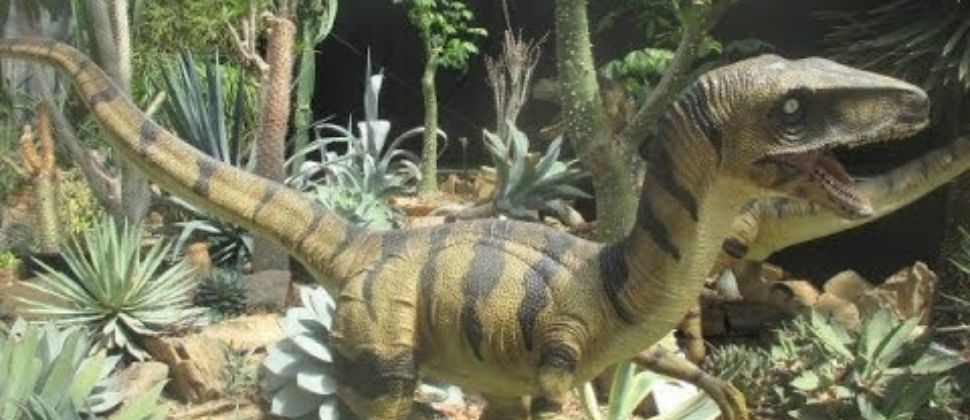 Gardenworld Dinosaurs, Braeside