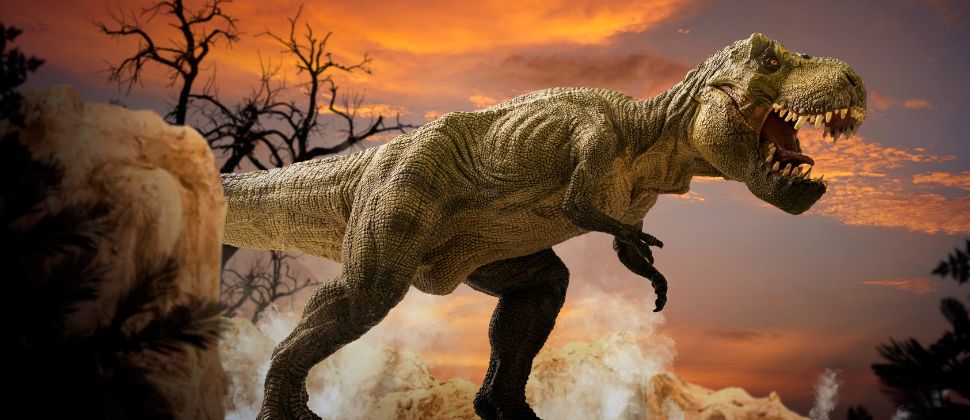 Things Dinosaur Lovers Should Know While Visiting Dinosaur Spots