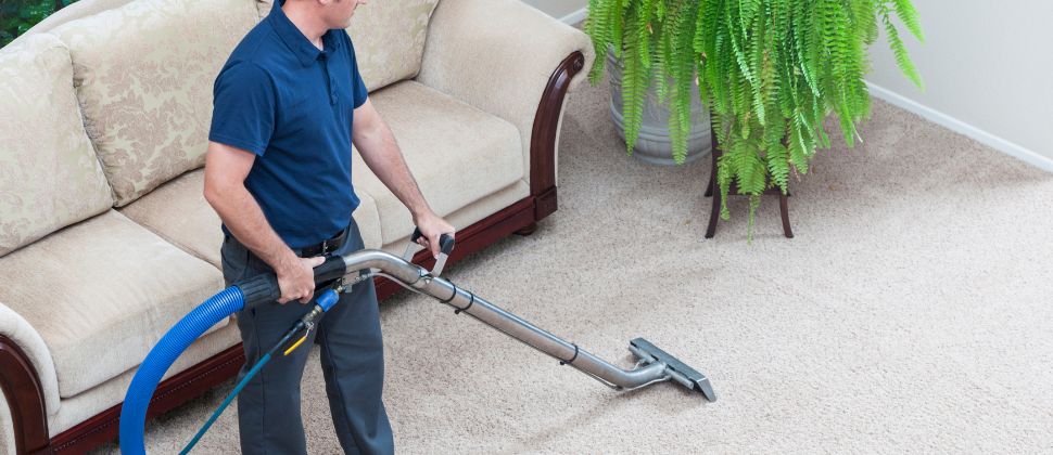 Why Cleaning Carpets is Important