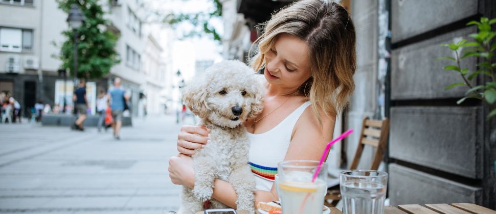 pooch-friendly cafes