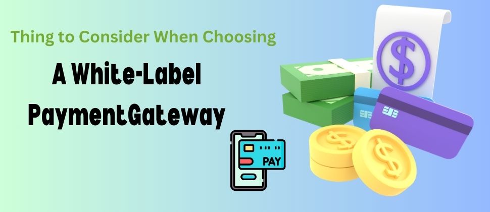 Considerations While Choosing A White-Label Payment Gateway